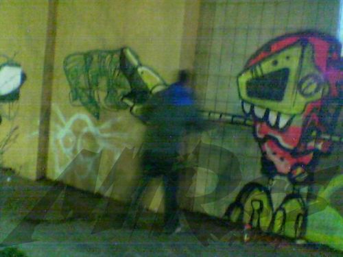 AWER: INACTION